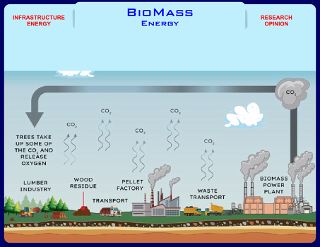 BiomassEnergy-25-11-A null