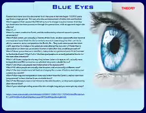 Blue-Eyes-24-1-1