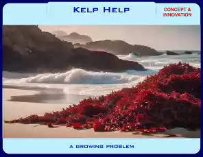 Kelp-Help-24-1-0