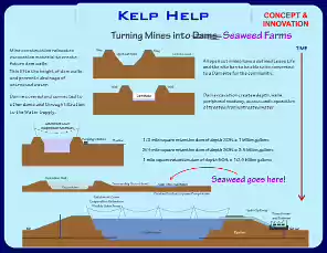 Kelp-Help-24-1-3