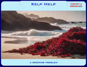 Kelp-Help-24-9-0