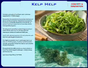 Kelp-Help-24-9-4