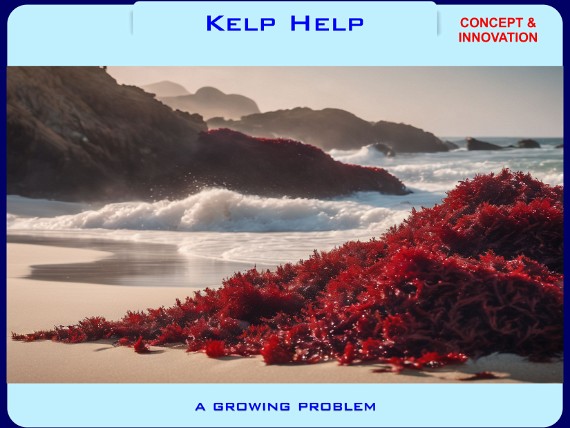 Kelp