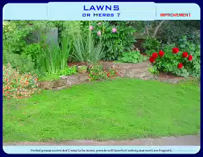 Lawns-24-9-0