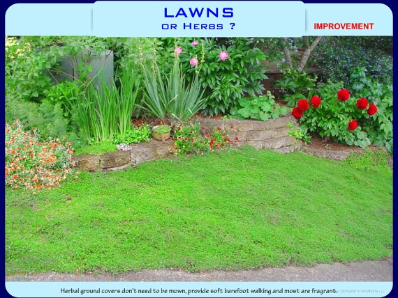 Lawns