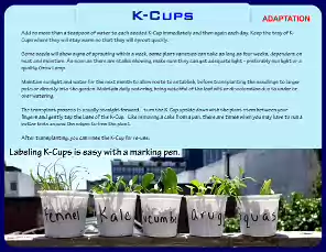 K-Cups-24-1-2