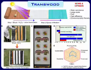 TransWood-24-1-3