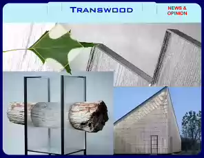 TransWood-24-1-5