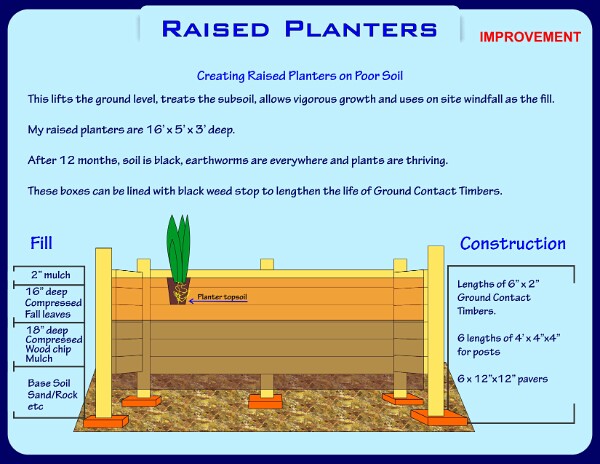Raised Planters-24-1-1