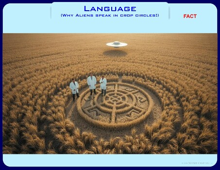 Language-24-11-00 null