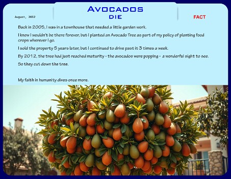 Avocados-24-10-1 null