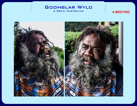 Goomblar Wylo-0 null