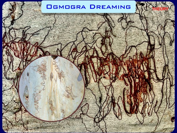 Ogmogra Dreaming